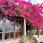 Villa Casa Tara - 5 Bedroom, 4 Bathroom With Private Pool *